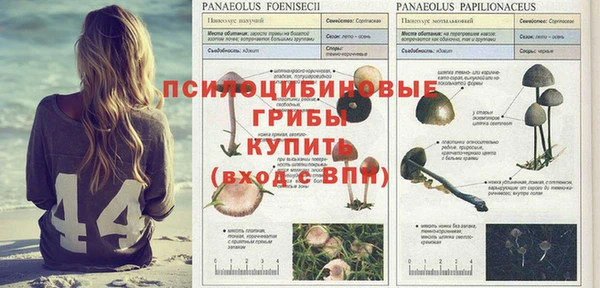 дурь Белокуриха