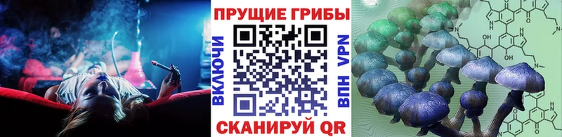 blacksprut зеркало  Навашино  Галлюциногенные грибы GOLDEN TEACHER 